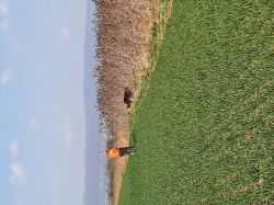 Gruppe 1   Vorstehen